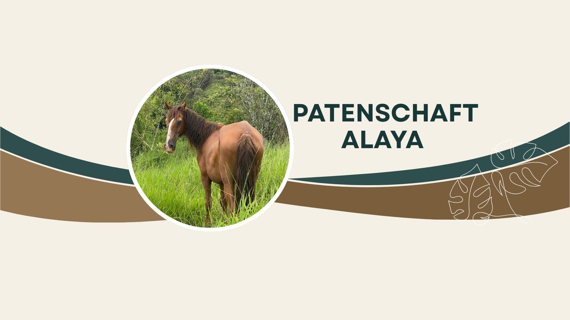 Patenschaft Alaya